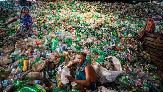 الفطريات والبكتيريا آكلة البلاستيك التي قد تنقذ العالم من النفايات صورة رقم 6