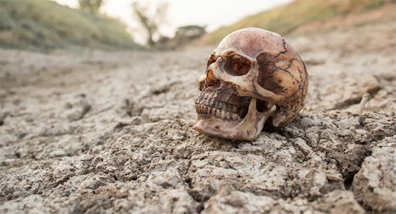 دراسة تضع تاريخا محتملا لانقراض البشرية على الأرض بسبب الأوبئة صورة رقم 1