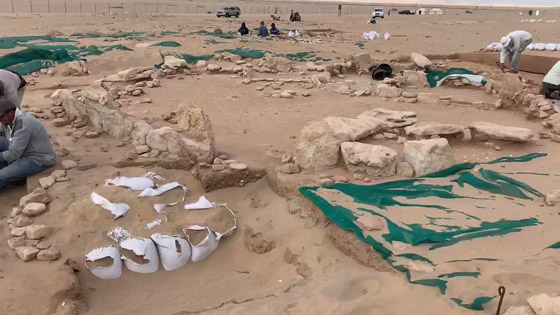 مصر.. اكتشاف حوت برمائي نادر يستطيع العيش تحت الماء وفوق اليابسة صورة رقم 2