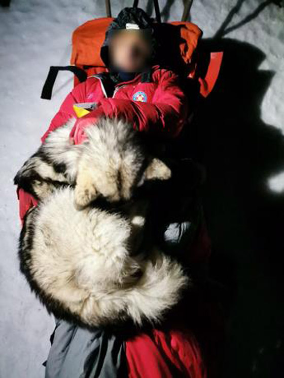 كلب ينقذ حياة متسلق بتدفئته 13 ساعة صورة رقم 3