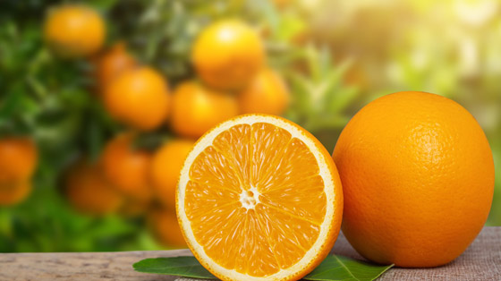 لهذه الأسباب.. تناول البرتقال مفيد شتاءً صورة رقم 1