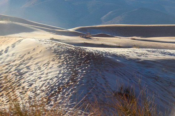 ظاهرة غريبة.. أكبر صحراء حارة في العالم مغطاة بالثلوج! صور صورة رقم 3