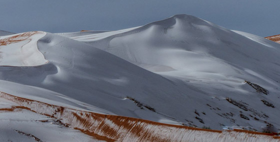 ظاهرة غريبة.. أكبر صحراء حارة في العالم مغطاة بالثلوج! صور صورة رقم 11