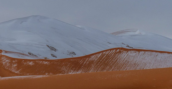 ظاهرة غريبة.. أكبر صحراء حارة في العالم مغطاة بالثلوج! صور صورة رقم 12