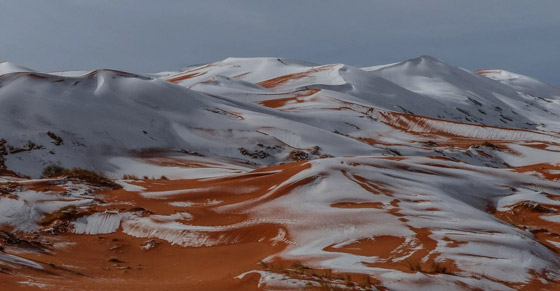 ظاهرة غريبة.. أكبر صحراء حارة في العالم مغطاة بالثلوج! صور صورة رقم 17