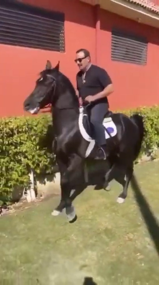 فيديو طريف: احمد السقا يرقص مع حصانه بشكل مذهل على انغام “الغزالة رايقة” صورة رقم 1