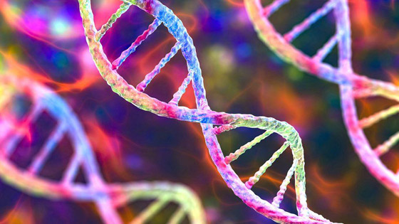 أسرار مذهلة: 10 اكتشافات جديدة عن ماضي البشرية من الحمض النووي صورة رقم 4