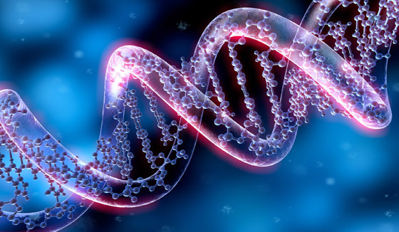 أسرار مذهلة: 10 اكتشافات جديدة عن ماضي البشرية من الحمض النووي صورة رقم 5