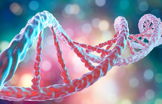 أسرار مذهلة: 10 اكتشافات جديدة عن ماضي البشرية من الحمض النووي صورة رقم 7