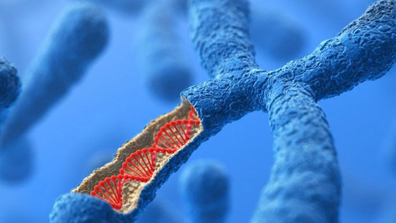 أسرار مذهلة: 10 اكتشافات جديدة عن ماضي البشرية من الحمض النووي صورة رقم 6