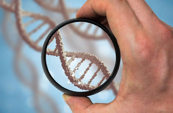 أسرار مذهلة: 10 اكتشافات جديدة عن ماضي البشرية من الحمض النووي صورة رقم 8