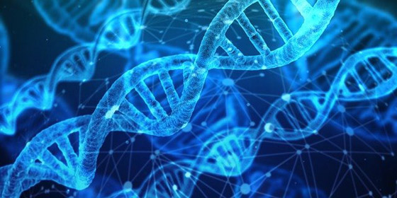 أسرار مذهلة: 10 اكتشافات جديدة عن ماضي البشرية من الحمض النووي صورة رقم 9