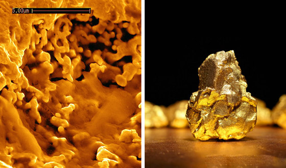 بكتيريا قادرة على إفراز شذرات الذهب.. هل يمكننا استغلالها بصنع الذهب؟ صورة رقم 7