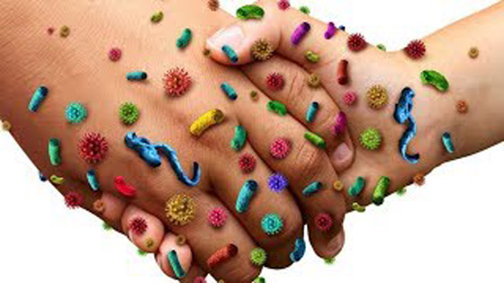  صورة رقم 6 - بعد انتشار الأوبئة.. طرق الوقاية من الأمراض الخطيرة