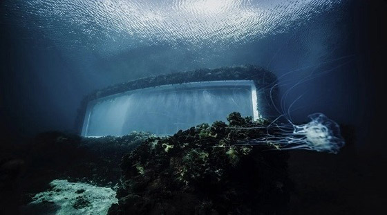  صورة رقم 1 - أول مطعم تحت الماء في أوروبا يأخذك برحلة مدهشة لأعماق البحر