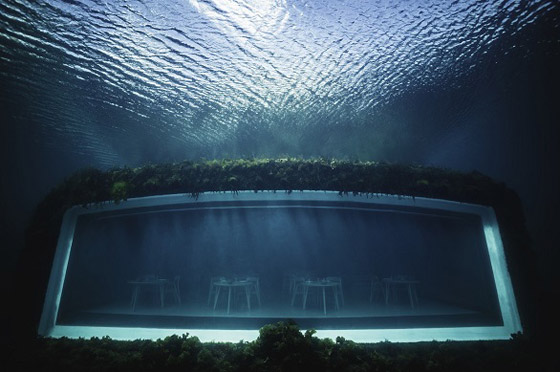 صورة رقم 2 - أول مطعم تحت الماء في أوروبا يأخذك برحلة مدهشة لأعماق البحر