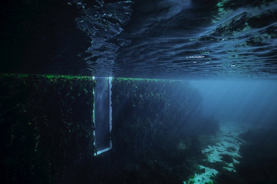  صورة رقم 4 - أول مطعم تحت الماء في أوروبا يأخذك برحلة مدهشة لأعماق البحر