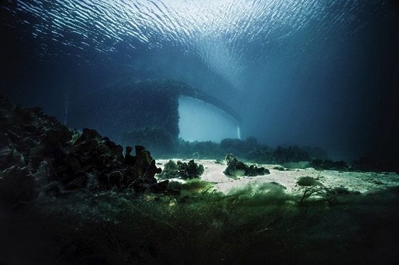  صورة رقم 7 - أول مطعم تحت الماء في أوروبا يأخذك برحلة مدهشة لأعماق البحر