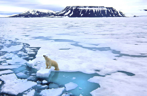  صورة رقم 4 - الأرض مهددة بانهيار مناخي بسبب ارتفاعات غير مسبوقة للحرارة في القطب الشمالي