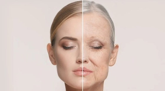  صورة رقم 1 - نصائح لمكافحة الشيخوخة لا تريد شركات التجميل أن تعرفها