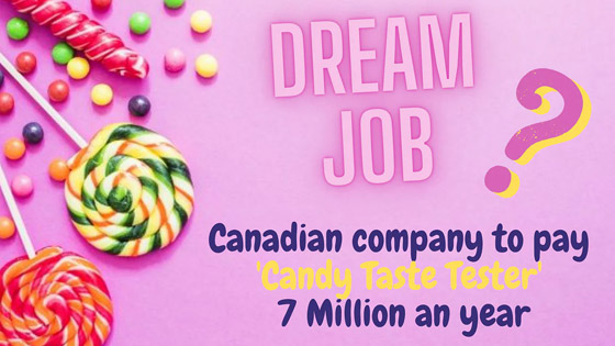  صورة رقم 3 - وظيفة الأحلام: شركة كندية تبحث عن متذوق للحلوى من المنزل براتب 78 ألف دولار