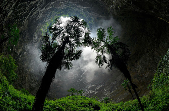  صورة رقم 1 - تشبه القصص الخيالية.. اكتشاف غابة كاملة داخل حفرة عميقة في الصين