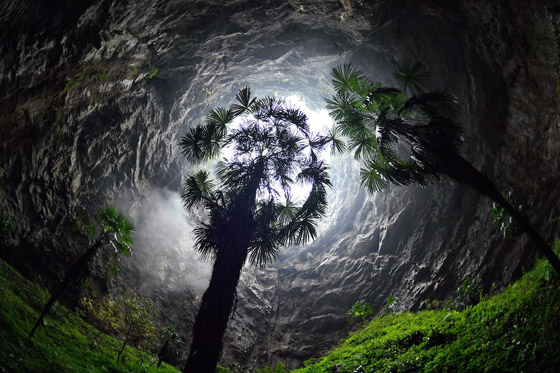  صورة رقم 4 - تشبه القصص الخيالية.. اكتشاف غابة كاملة داخل حفرة عميقة في الصين