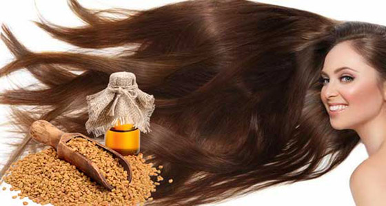  صورة رقم 7 - فوائد الحلبة علي الشعر وسر تطبيقها لضمان النتيجه