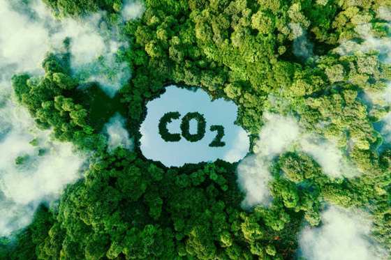 مصر: مشروع علمي صناعي لتحويل ثاني أكسيد الكربون لطاقة نظيفة صورة رقم 7