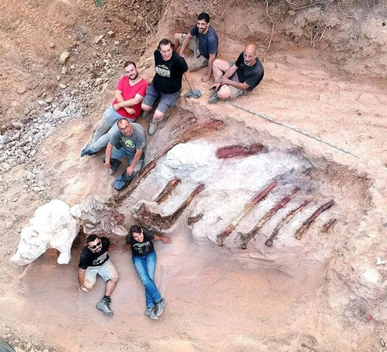 برتغالي يكتشف حفرية ديناصور في حديقة منزله (صور) صورة رقم 5