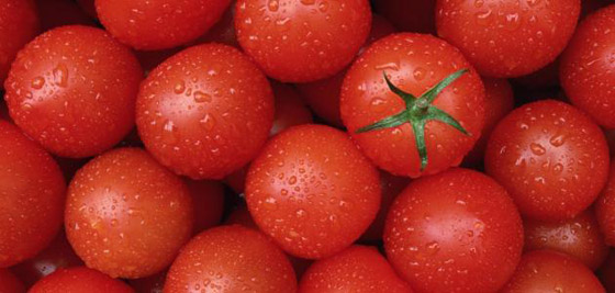  صورة رقم 6 - تناول الطماطم في هذه الحالة خطير .. ما السبب؟