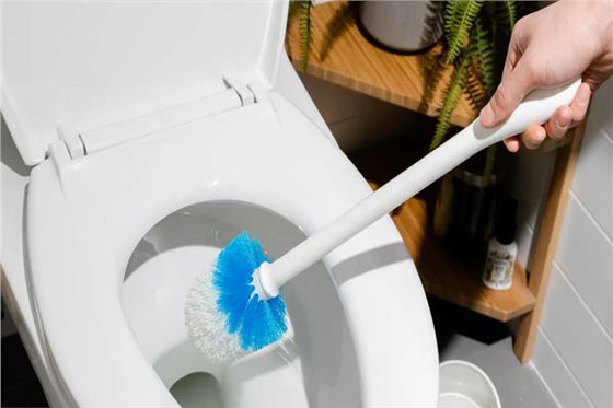  صورة رقم 2 - احذروا ! حيلة تنظيف على تيك توك يمكن أن تدمر المرحاض