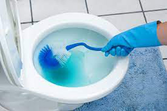  صورة رقم 4 - احذروا ! حيلة تنظيف على تيك توك يمكن أن تدمر المرحاض