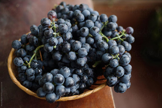 عصير العنب الأسود: تعرفوا على فوائده صورة رقم 2