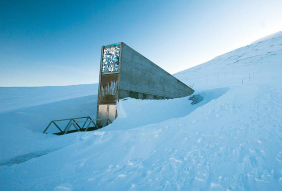  صورة رقم 12 - بلدة نرويجية تحتضن قبو يوم القيامة: يُحظر الولادة، الموت والدفن على أراضيها!