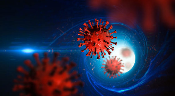 اكتشاف فيروس جديد قاتل يعيش بالقردة.. قد يسبب الجائحة القادمة! صورة رقم 4