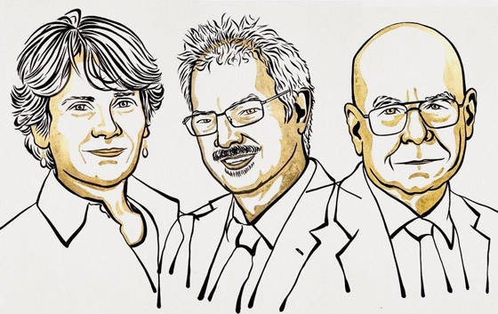 3 علماء باحثين يحصلون على جائزة نوبل للكيمياء 2022 صورة رقم 7