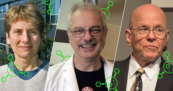 3 علماء باحثين يحصلون على جائزة نوبل للكيمياء 2022 صورة رقم 1