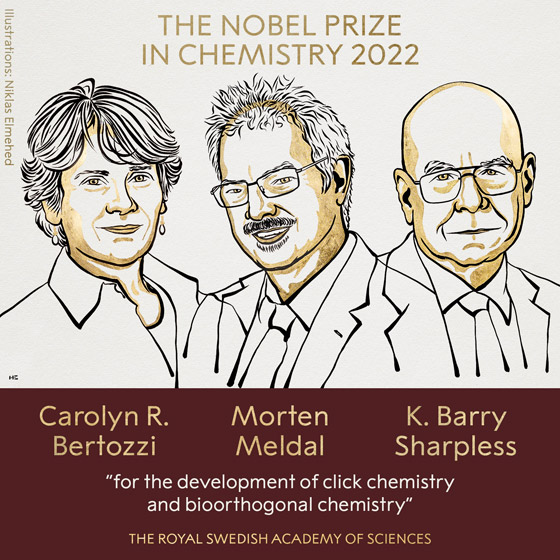 3 علماء باحثين يحصلون على جائزة نوبل للكيمياء 2022 صورة رقم 2