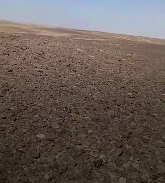  صورة رقم 4 - فيديو مؤلم: أردني يوثق آخر أنفاسه قبل موته بالصحراء