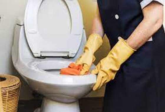 صورة رقم 4 - ما علاقة الثوم بالحفاظ على نظافة حمام المنزل؟