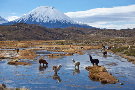 بالصور: 4 وجهات سياحية جذابة لا تفوت في تشيلي صورة رقم 3