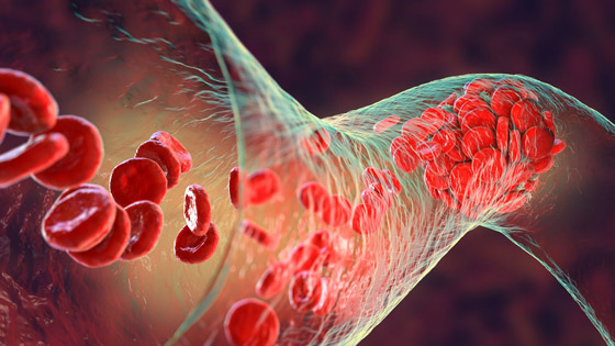  صورة رقم 3 - لأول مرة في التاريخ.. حقن خلايا دم أُنتجت مخبريا بجسم شخص