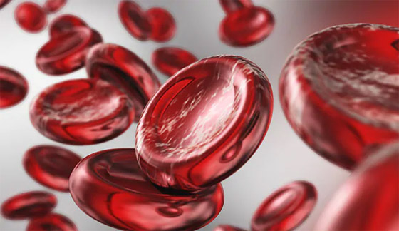  صورة رقم 7 - لأول مرة في التاريخ.. حقن خلايا دم أُنتجت مخبريا بجسم شخص