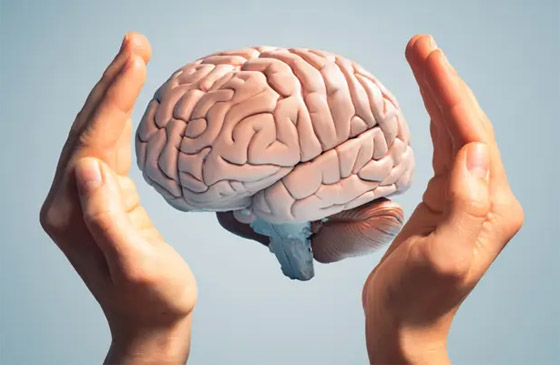  صورة رقم 1 - علماء الشيخوخة يكشفون: 6 عادات سيئة تدمر الدماغ