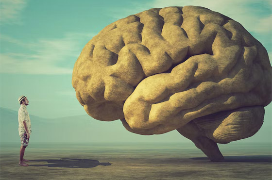  صورة رقم 3 - علماء الشيخوخة يكشفون: 6 عادات سيئة تدمر الدماغ