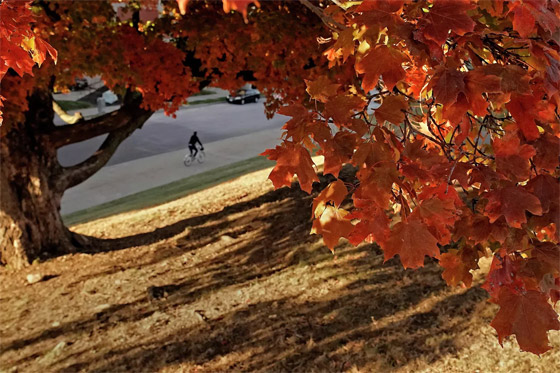  صورة رقم 1 - بالصور: فصل الخريف يجوب العالم.. مناظر خريفية بألوان خلابة