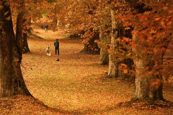  صورة رقم 3 - بالصور: فصل الخريف يجوب العالم.. مناظر خريفية بألوان خلابة