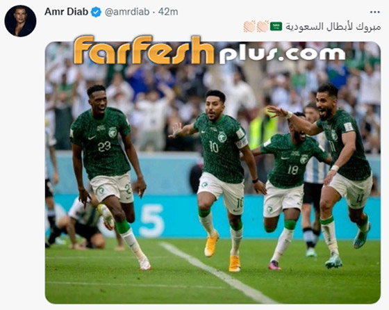  صورة رقم 13 - نجوم الفن يحتفلون بفوز السعودية على الأرجنتين بكأس العالم.. شرفتونا وأسعدتونا يا صقور!