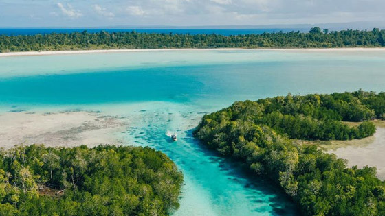 مزاد فريد: 100 جزيرة للبيع بإندونيسيا، والمشتري يجب أن يكون واحدا فقط! صورة رقم 2